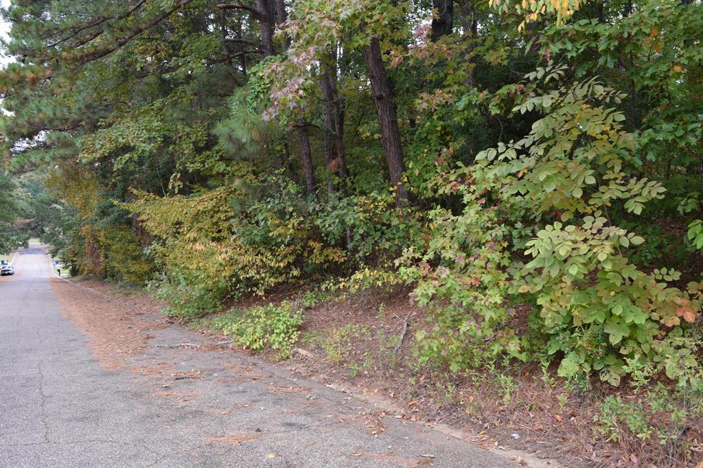 0 Mark Drive Property Photo 1