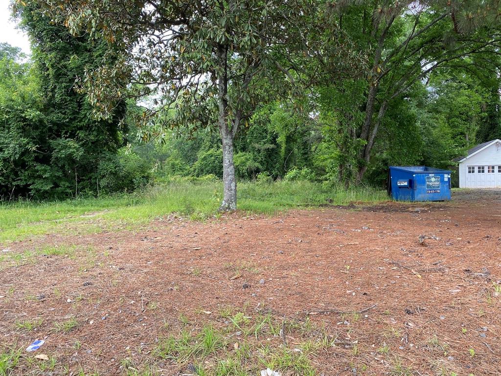 0 Homer Road Property Photo 1