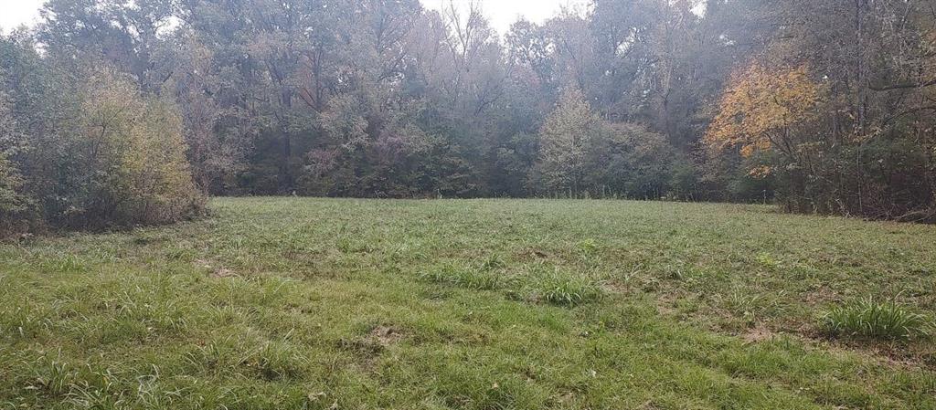 Tbd Cr 4210 Property Photo 6