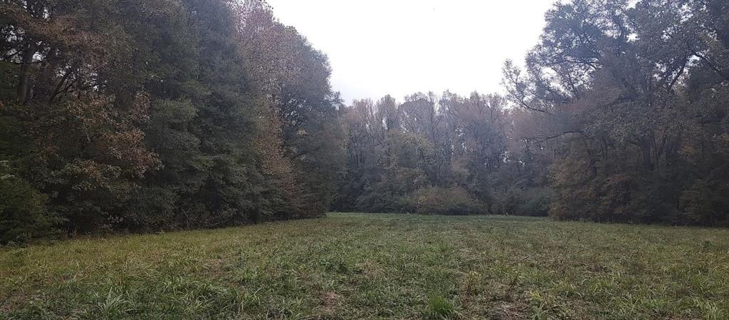 Tbd Cr 4210 Property Photo 7