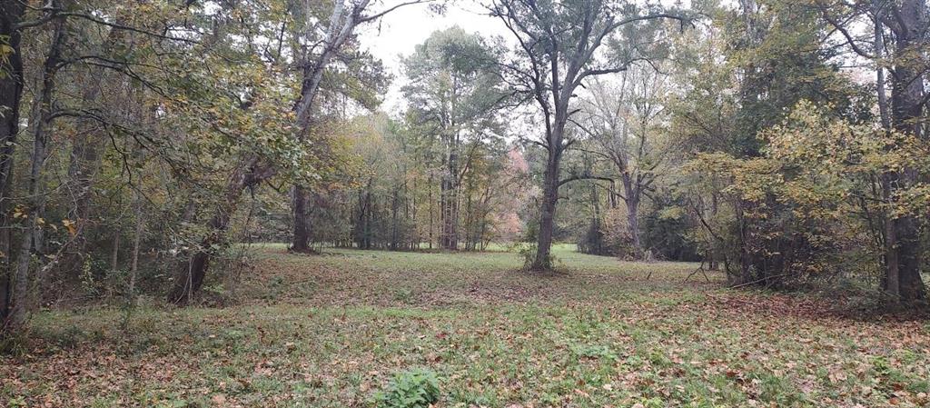 Tbd Cr 4210 Property Photo 8