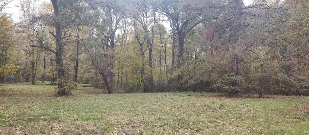 Tbd Cr 4210 Property Photo 9
