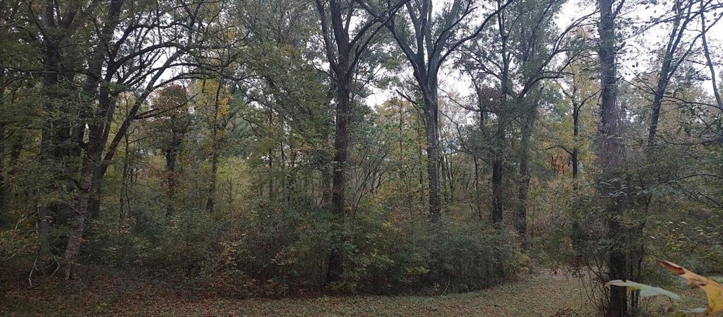 Tbd Cr 4210 Property Photo 10