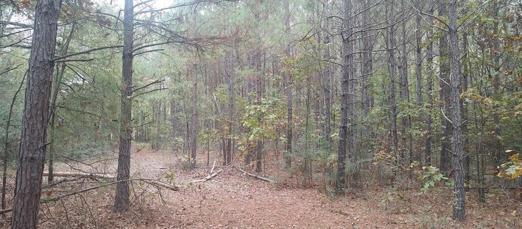 Tbd Cr 4210 Property Photo 11