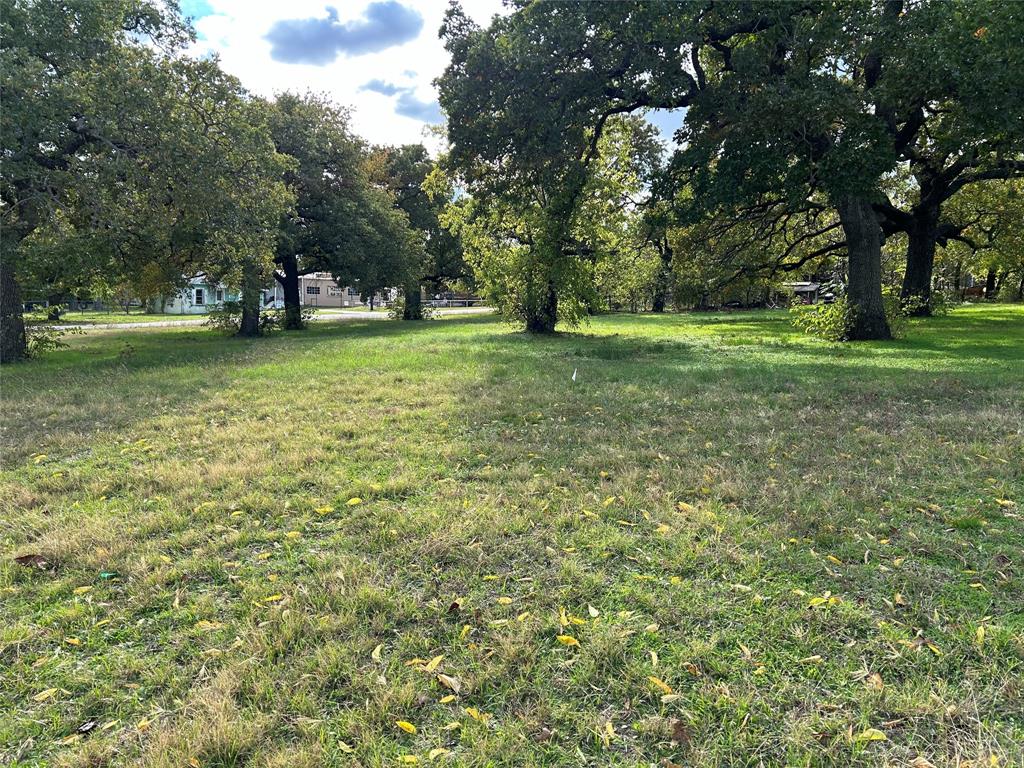 0 Lamar Property Photo 1