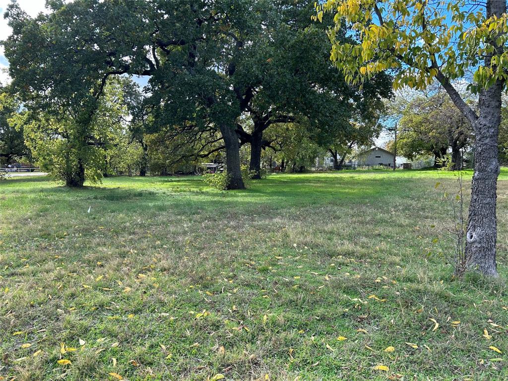 0 Lamar Property Photo 2