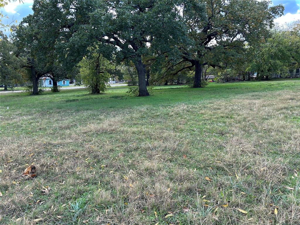 0 Lamar Property Photo 4