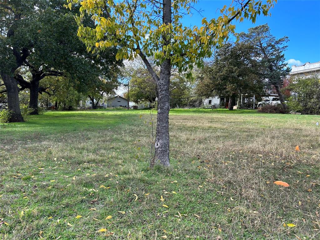 0 Lamar Property Photo 5