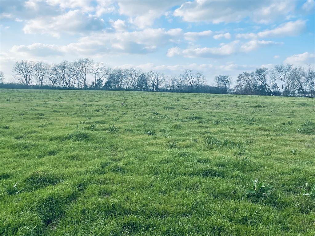 Tbd Cr 2383 Property Photo 4