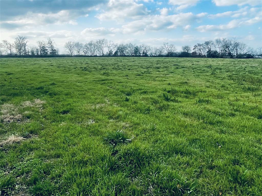 Tbd Cr 2383 Property Photo 5