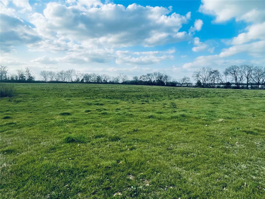 Tbd Cr 2383 Property Photo 9