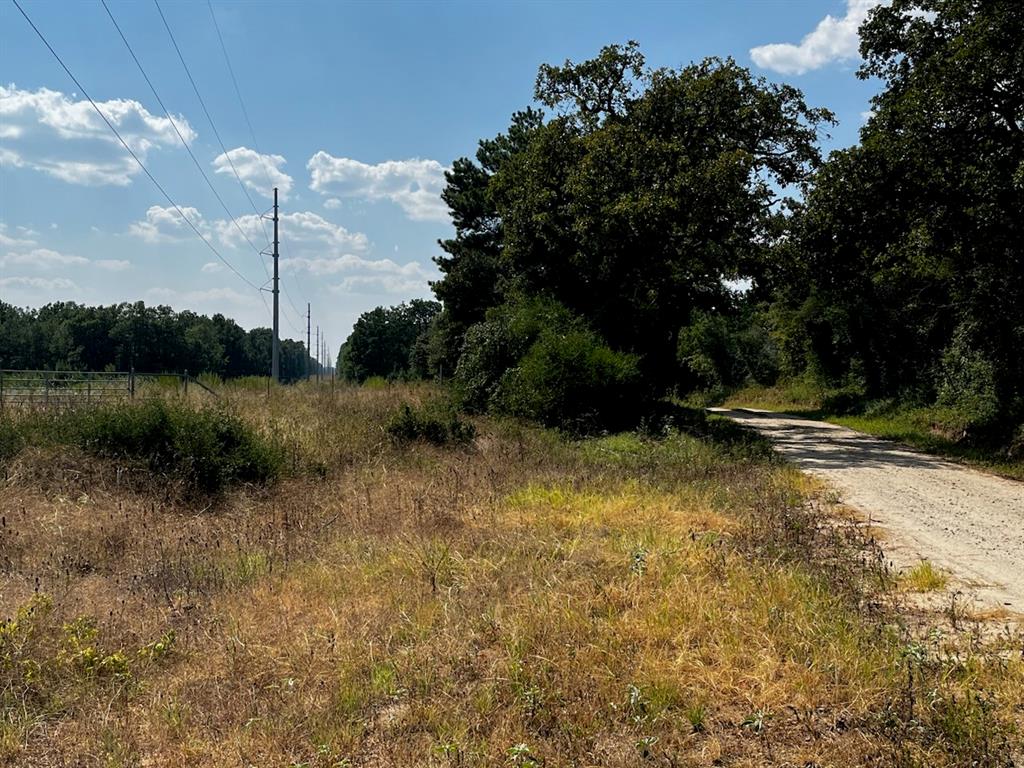 Tbd Cr 207 Property Photo