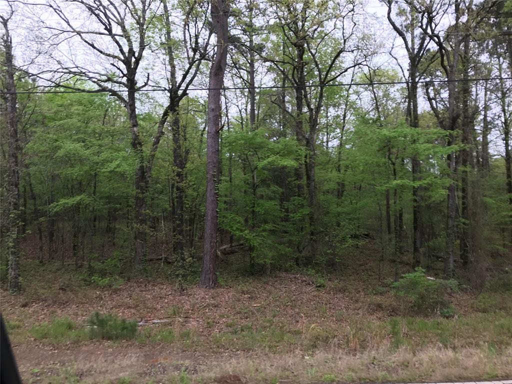 0 Hwy 171 Property Photo 2