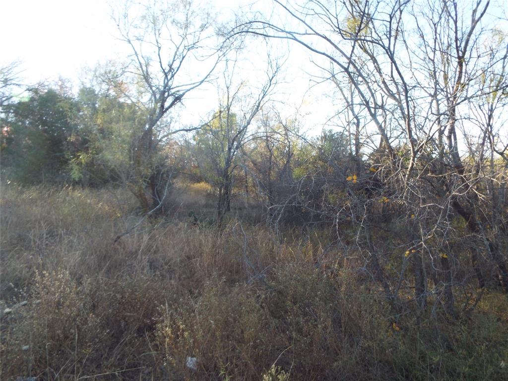 Tbd Clifden Drive Property Photo 1