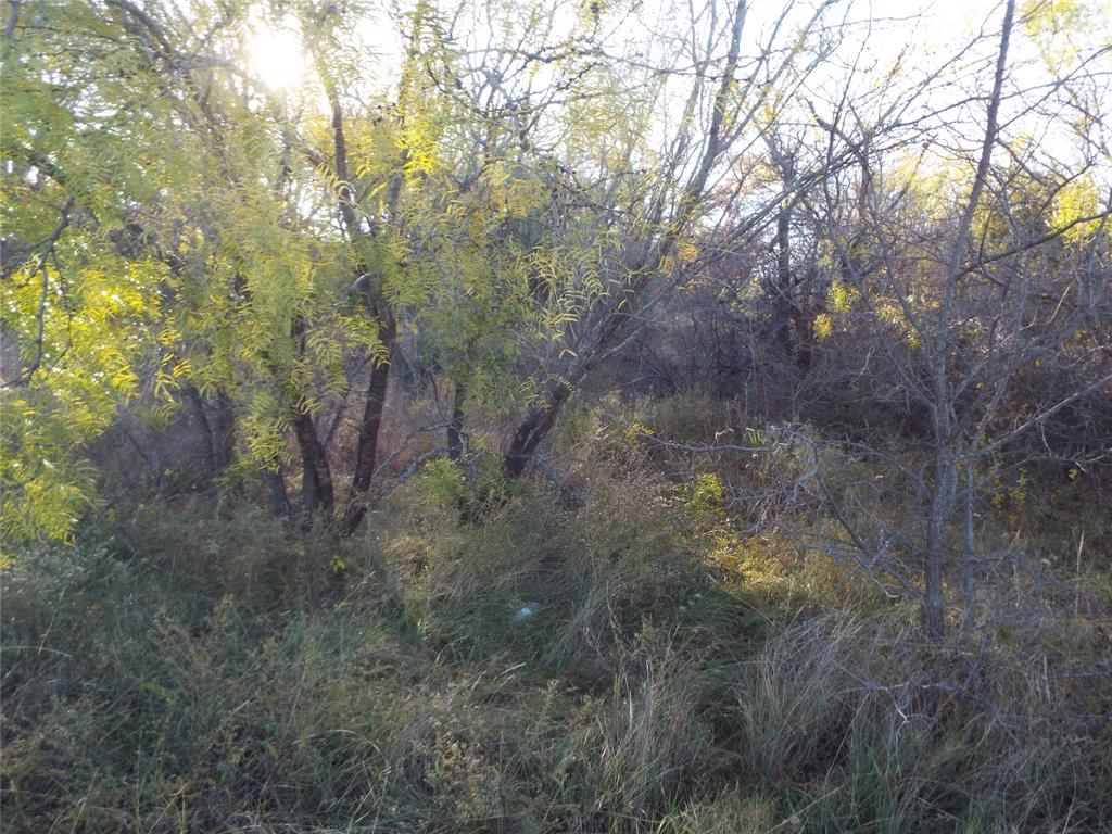 Tbd Clifden Drive Property Photo 4