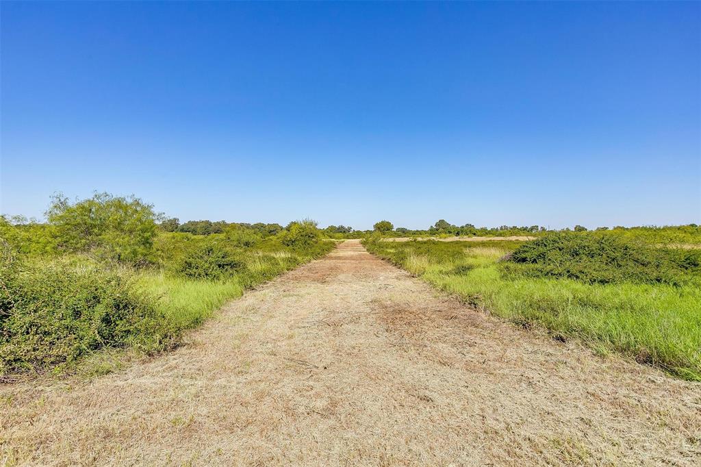 Tbd7 County Road 1242 Property Photo 19