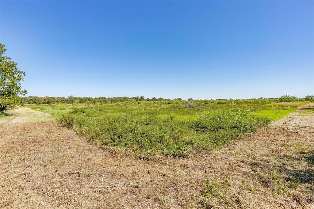 Tbd4 County Road 1242 Property Photo 15