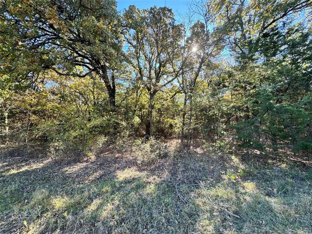 Tbd Lot 9 Clark Road Property Photo 4