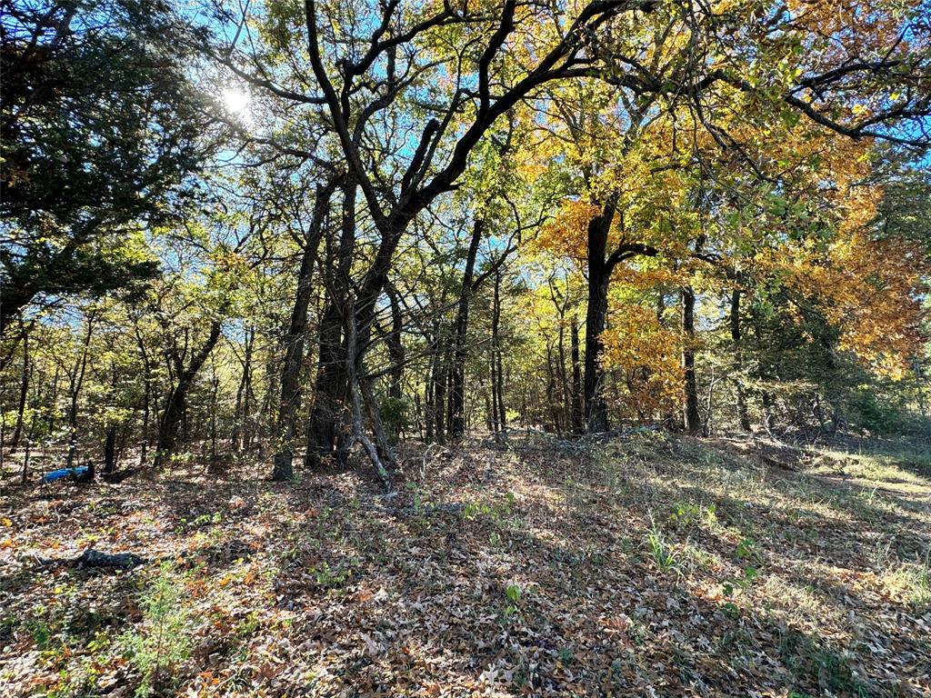Tbd Lot 9 Clark Road Property Photo 6