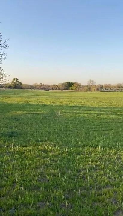Lot 12 County Road 3420 Property Photo 1