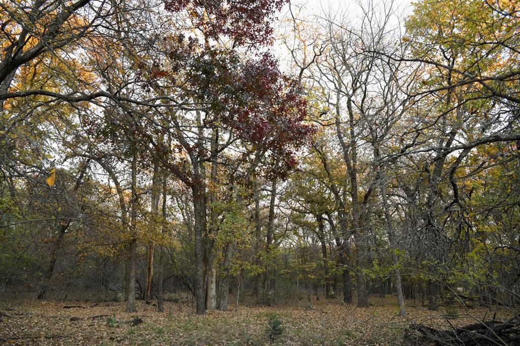 800 Boling Ranch Road Property Photo 4