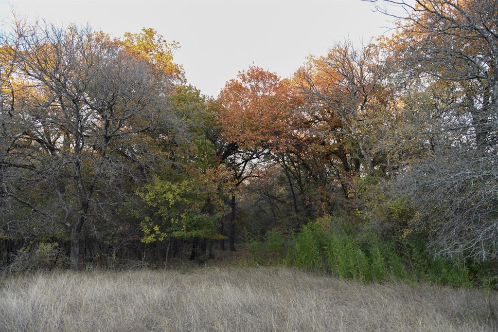 800 Boling Ranch Road Property Photo 5