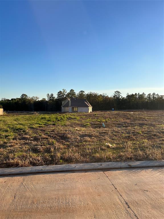 0 Lot 218 Creston Lane Property Photo 2
