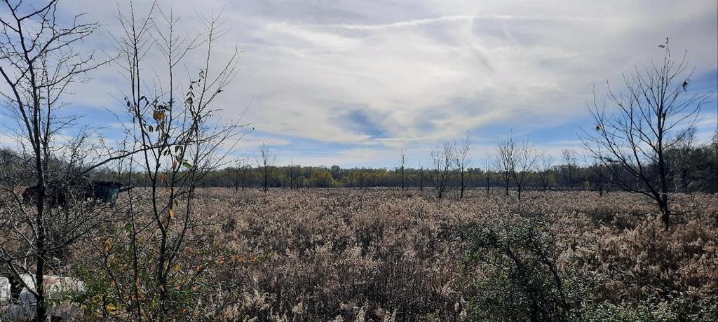 258 Ed Kent Property Photo 1