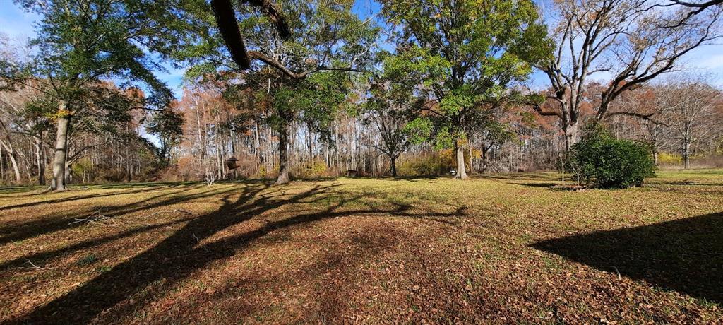 258 Ed Kent Property Photo 5