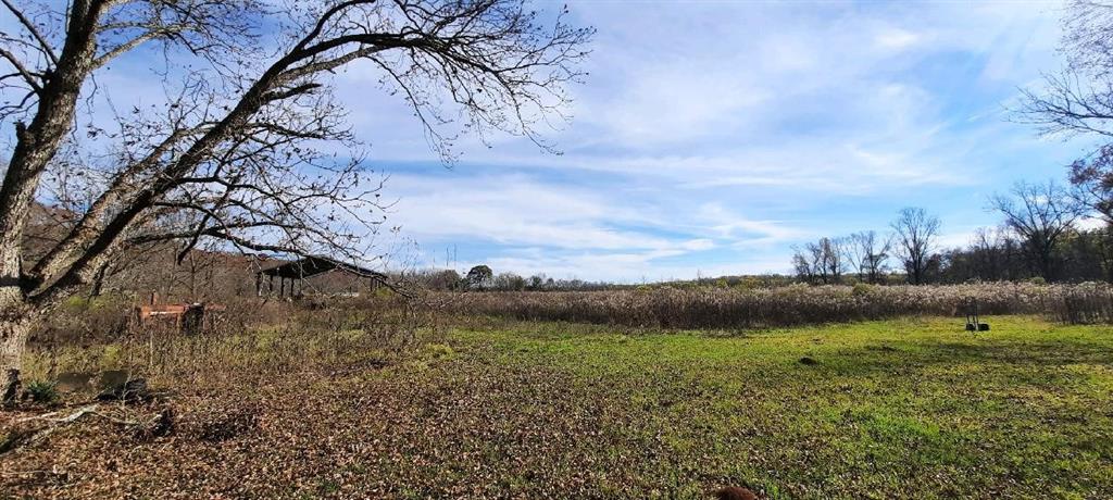258 Ed Kent Property Photo 14