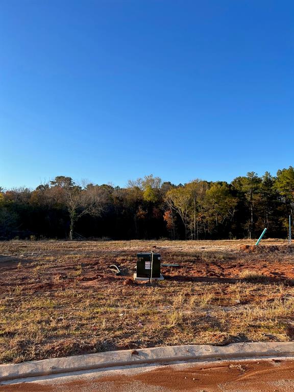 0 Lot 227 Creston Lane Property Photo 4