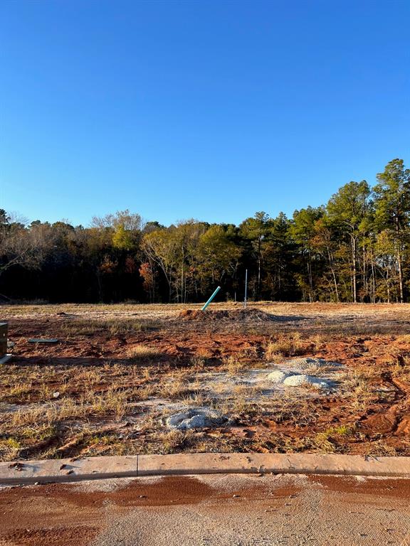 0 Lot 227 Creston Lane Property Photo 5