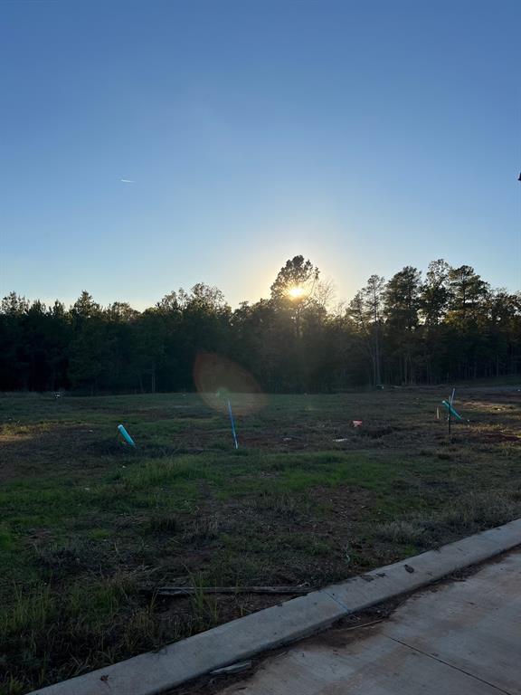 0 Lot 227 Creston Lane Property Photo 10