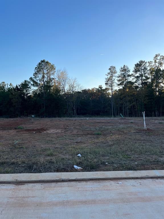 0 Lot 227 Creston Lane Property Photo 11