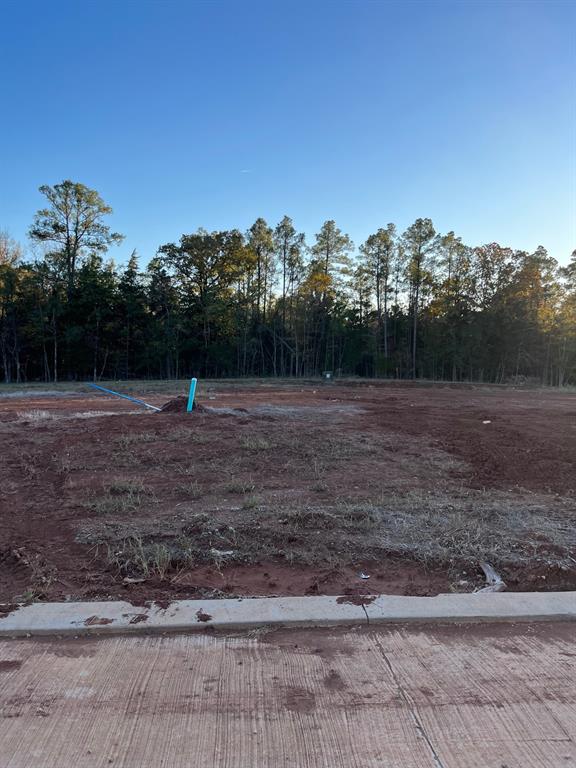 0 Lot 227 Creston Lane Property Photo 12