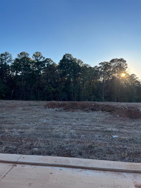 0 Lot 227 Creston Lane Property Photo 13