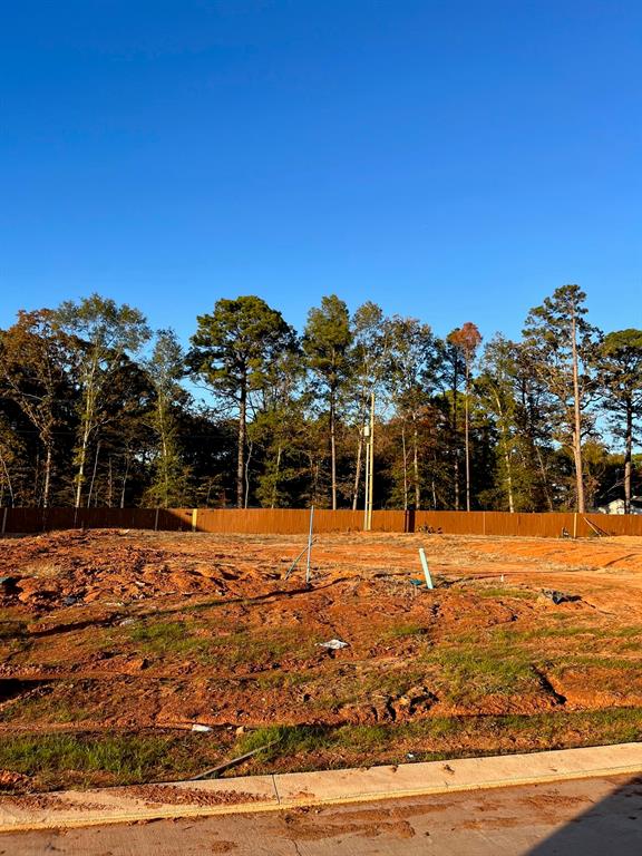 0 Lot 249 Newburn Circle Property Photo 14