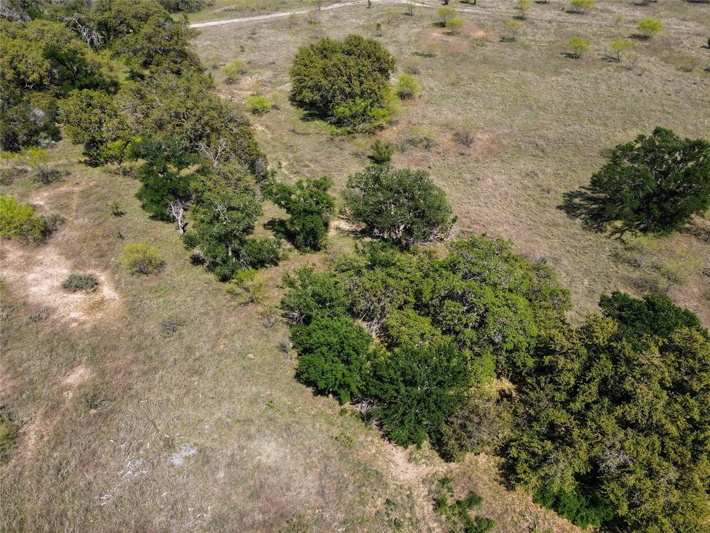 Lot 19 Brazos Mountain Ranch Property Photo 6