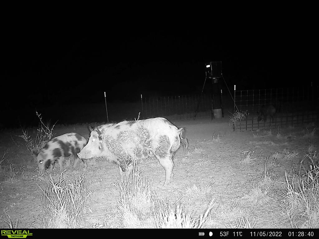 Tbd Us 277 Property Photo 36