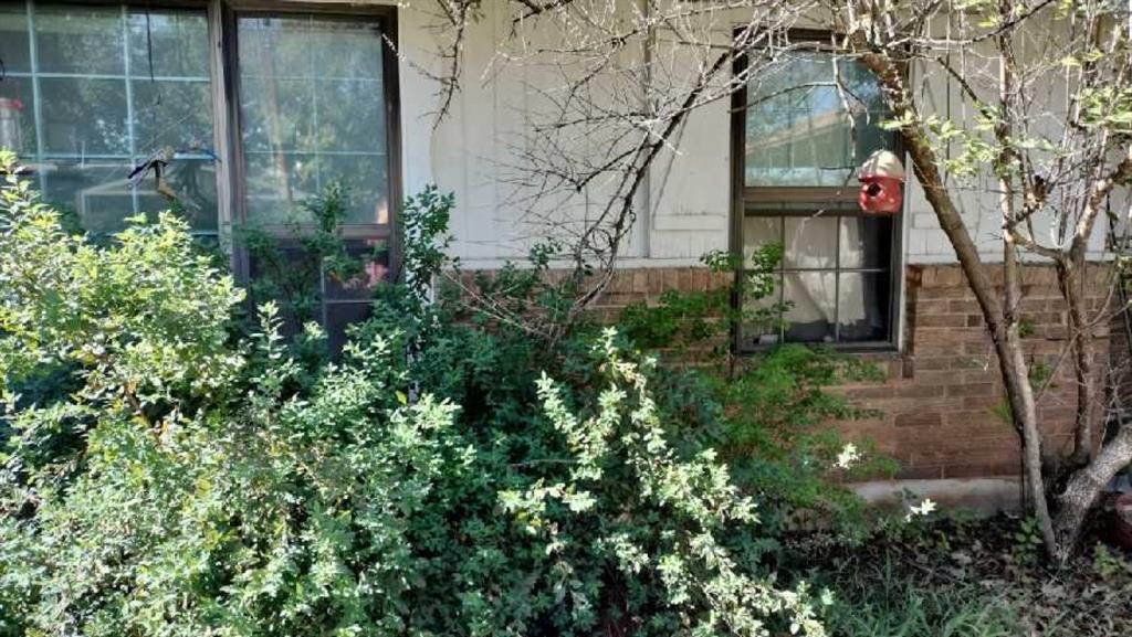 702 Starkey Street Property Photo 4