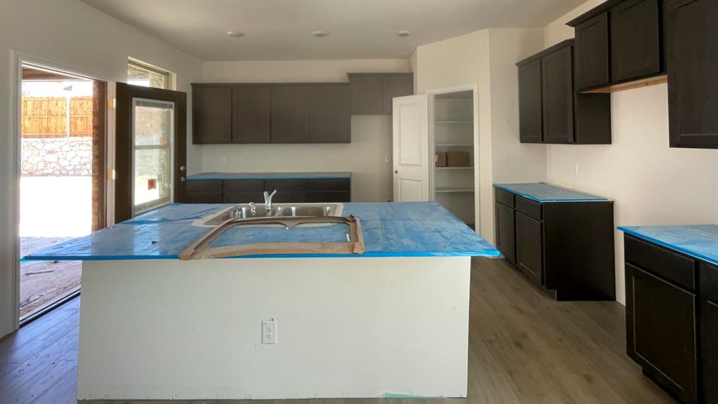 17300 Lake Ray Hubbard Drive Property Photo 4