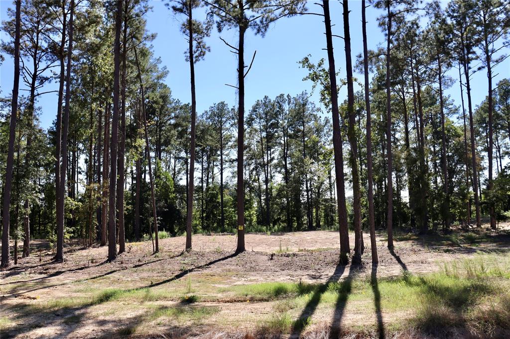 202 Mercy Way Property Photo 4