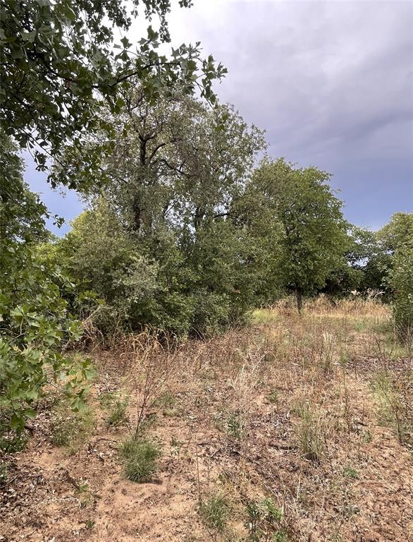 Lot 13 Private Road 368 Property Photo 22