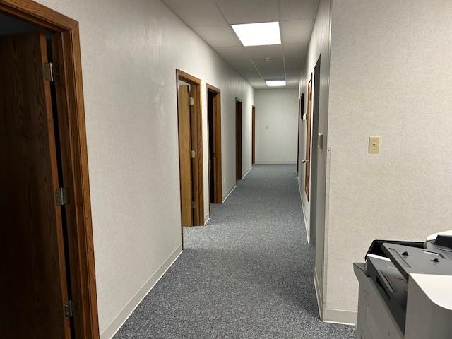 118 Cottonbelt Road Property Photo 4