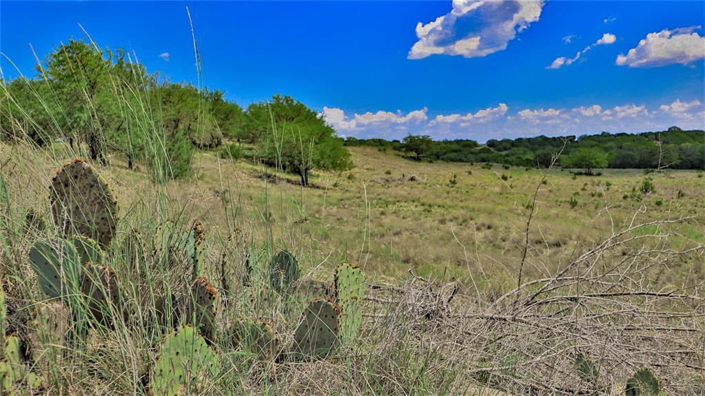 9501 Edwards Road Property Photo 29