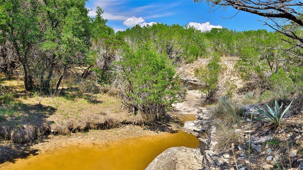 Tbd Paluxy Highway Property Photo 4
