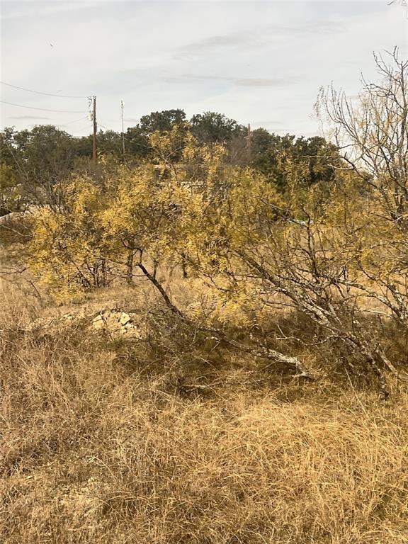 907 N Lakeside Lane Property Photo 5
