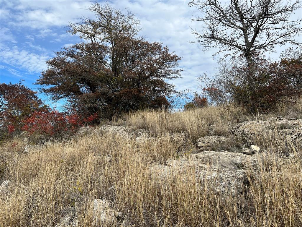 Lot 24 Pr 6332 Property Photo 2