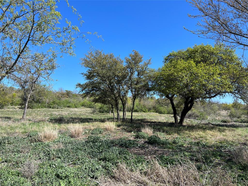 Lot 24 Pr 6332 Property Photo 4