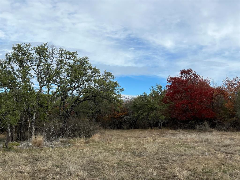 Lot 24 Pr 6332 Property Photo 6